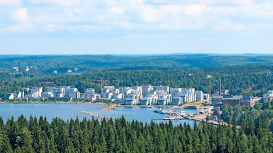 View of Lahti with Vesijarvi Lake (Water Lake) from the highest springboard Suurmaki. Finland