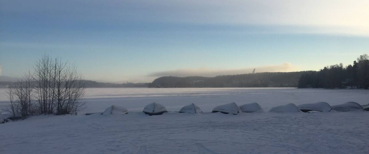 A snowy landscape with a frozen lake, bare trees, and a distant forested hill.