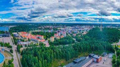A coastal city with a stadium, a bridge, and a dense forest.