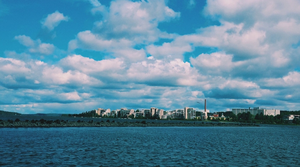 Many great bars, restaurants and coffee shops right on the harbor