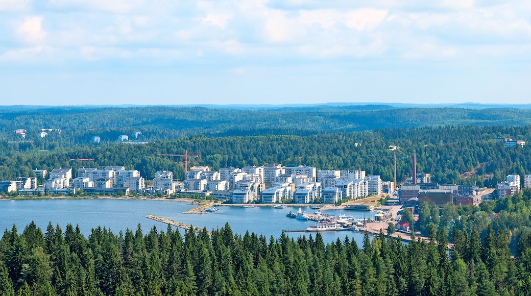 View of Lahti with Vesijarvi Lake (Water Lake) from the highest springboard Suurmaki. Finland