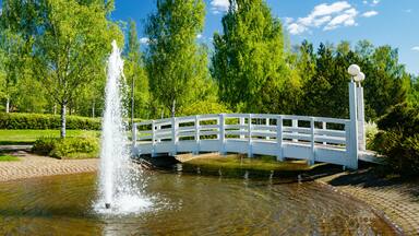 A beautiful park with a pond, wooden bridge and fountain in sunny summer day