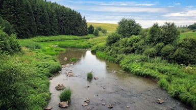 Rural River Landscape at Illinkoski Rapids, Uskelanjoki, Salo, Finland on a beautiful day of July.