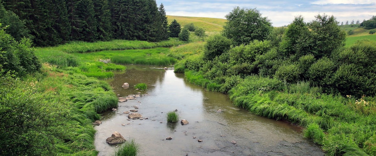 A river flowing through a lush green valley with dense forests on one side and rolling hills on the other.