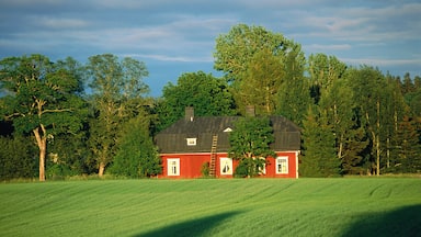 Punainen lato, jonka musta katto kohoaa vehreän vihreän pellon ja tiheän metsän keskellä.