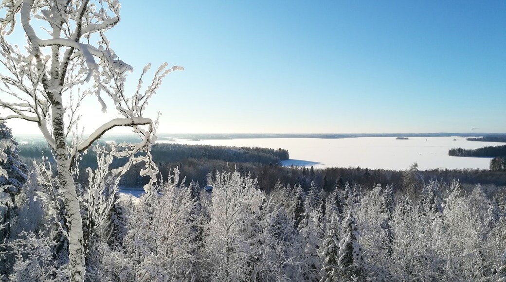 We have had so heavily snow in resent days that even departments of emergency services in Finland are warning folks wandering in woods. Branches under heavy frozen snow (the snow is called tykkylumi, crown snow-load) can break down and fall suddenly and silently. The snow and branch together can weight over hundred kilograms. It may be even lethal. It has it own name silent death.