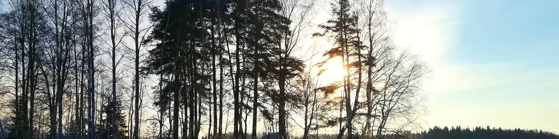 This is islet in midlle of the lake Lotilanjärvi.