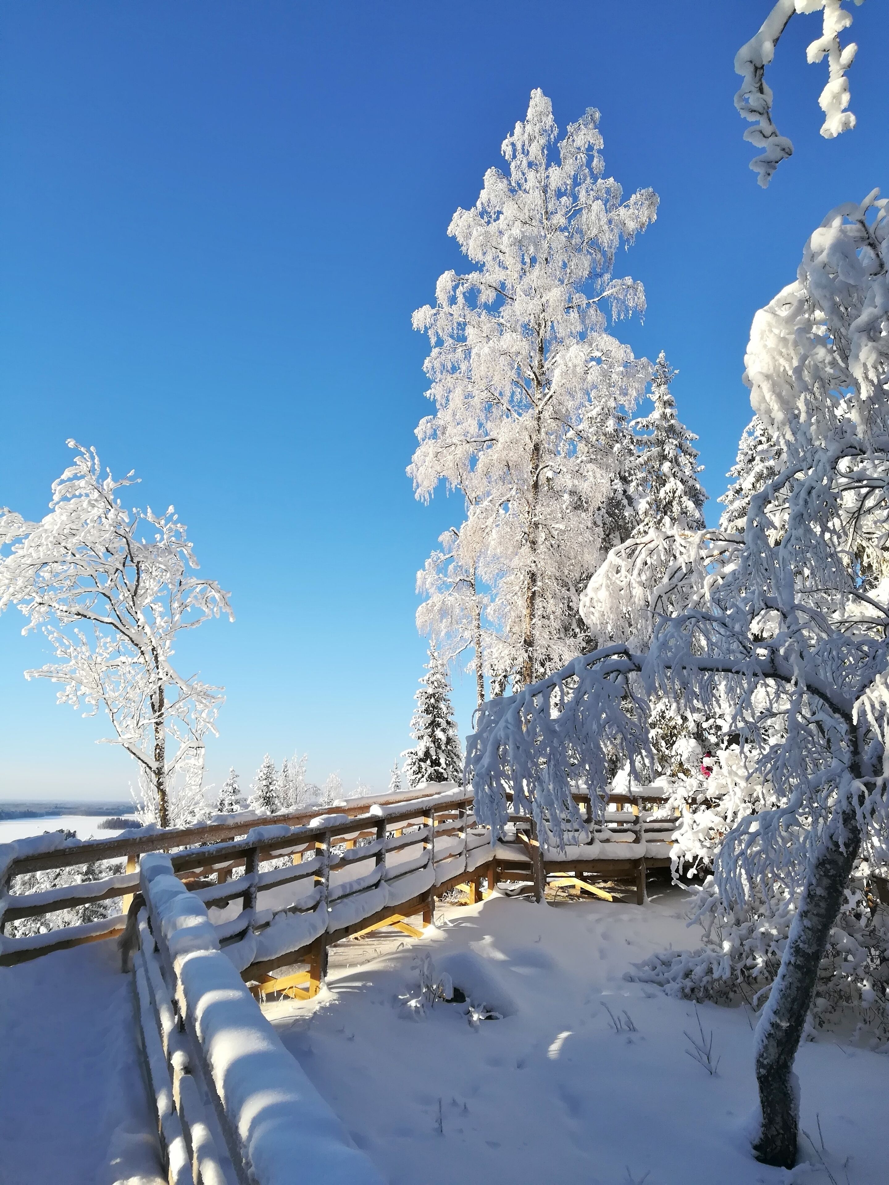 January 2019 we have had lots of snow. Views from Rapola Hill. #Perspectives #TroveOnTuesday