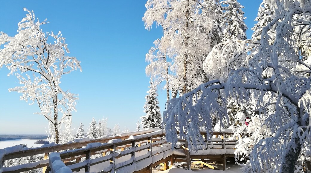 January 2019 we have had lots of snow. Views from Rapola Hill. #Perspectives #TroveOnTuesday