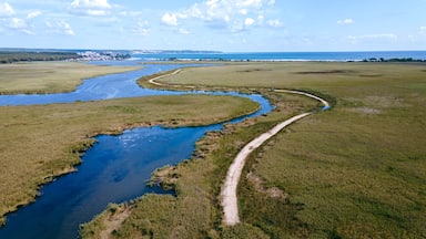 Mert Lake and Black Sea in İğneada Turkey from above with drone. Magnificent floodplain forests and nature of İğneada. Drone view of Lake Mert. İğneada sea, beach, lake, floodplain.