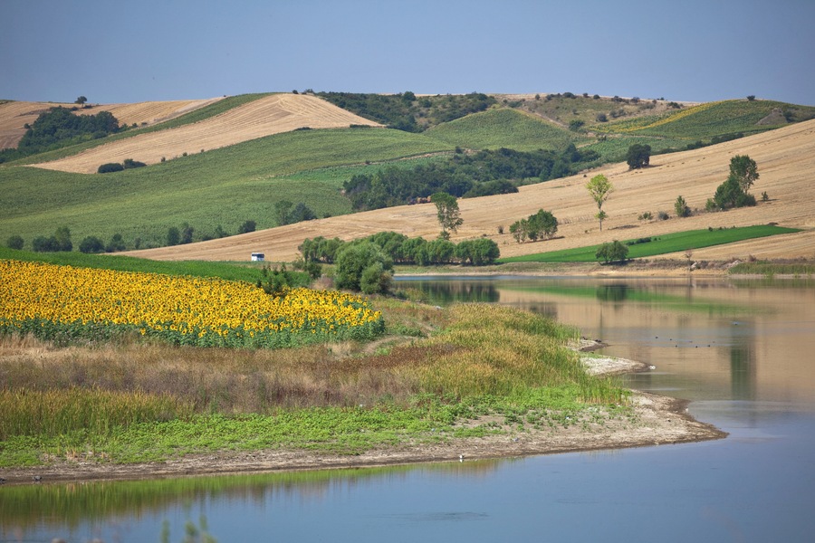 Sunflower fields near Tekirdag river