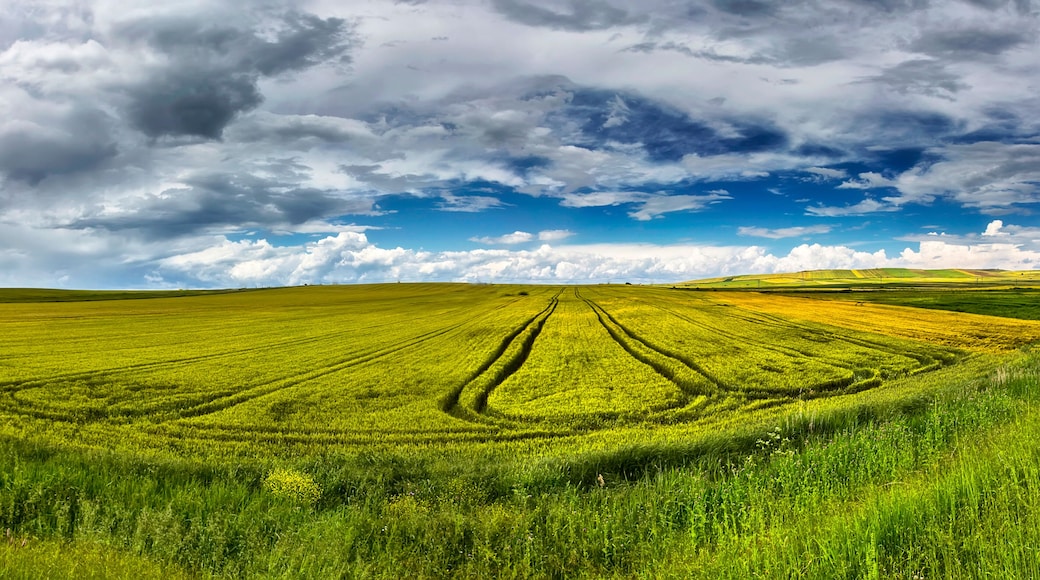 Fields and green lands in Çorlu district