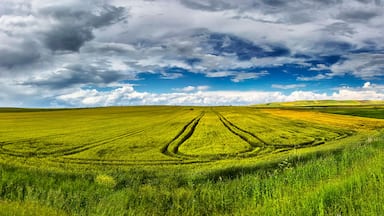 Fields and green lands in Çorlu district