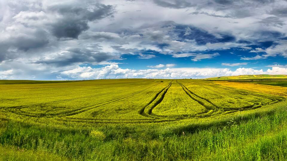 Fields and green lands in Çorlu district