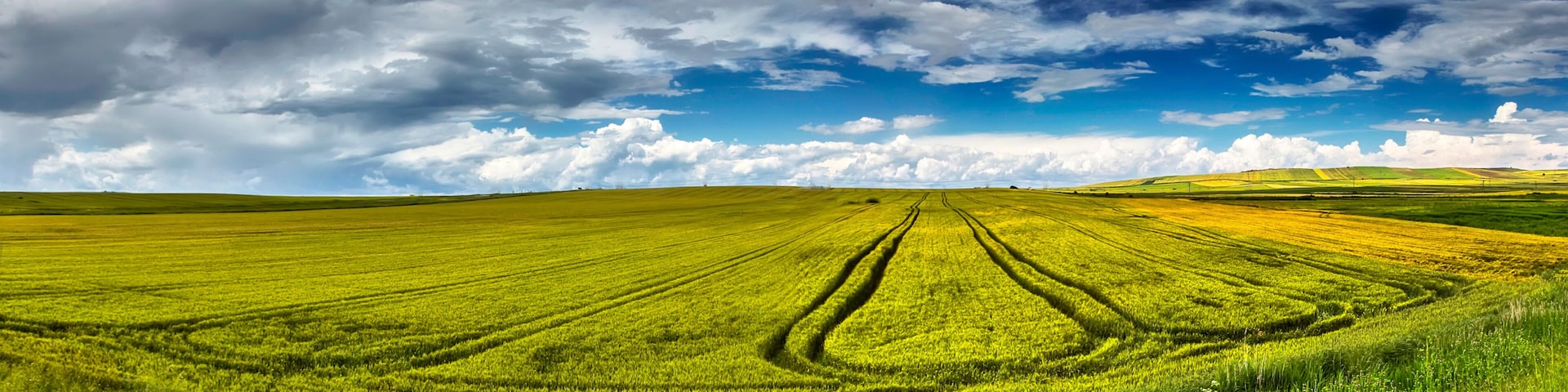 A vast green field with distinct crop patterns under a partly cloudy sky.