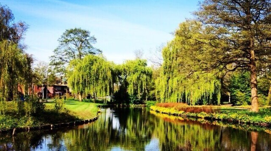 Bike trip from Amsterdam to Amstelveen! Lots of beautiful sights right off the bike path. #blue
