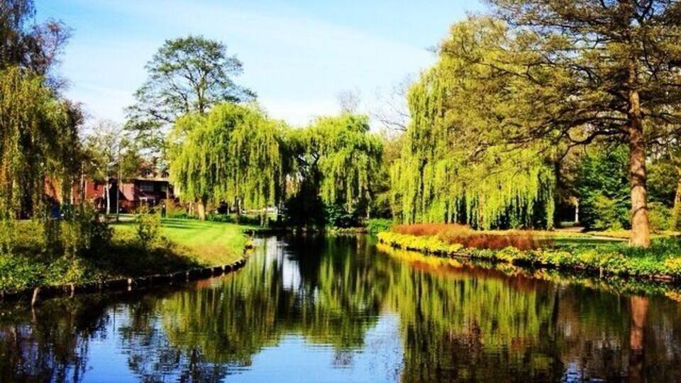 Bike trip from Amsterdam to Amstelveen! Lots of beautiful sights right off the bike path. #blue