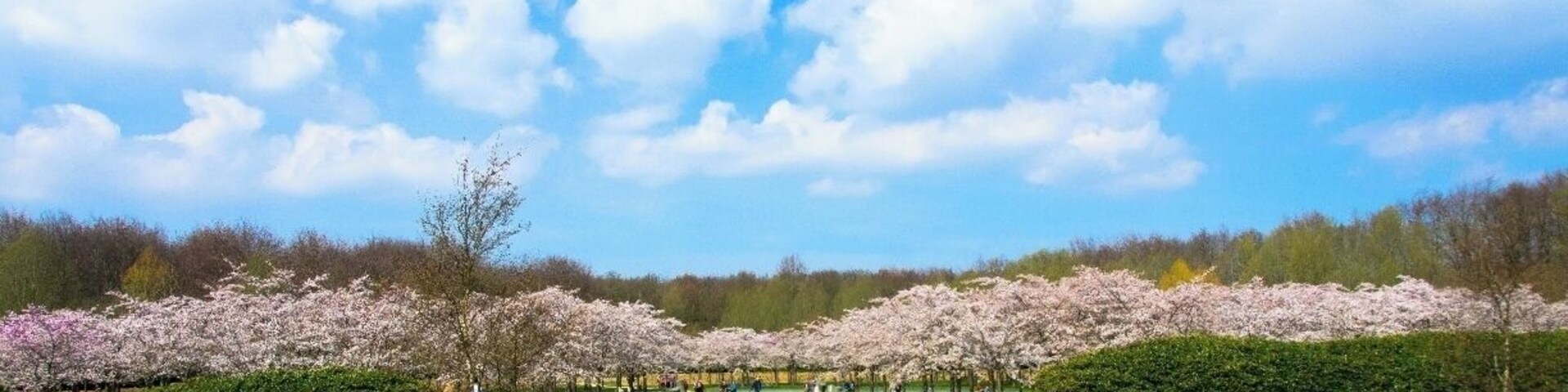 Hidden in Amsterdamse Bos.