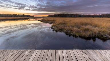 A calm river reflecting the sky, surrounded by tall grasses and a wooden dock.