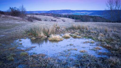 Himmelstรผmpel im Naturschutzgebiet โWindknollenโ bei Jena mit Blick auf das NSG โHufeisen-Jenzigโ im Hintergrund