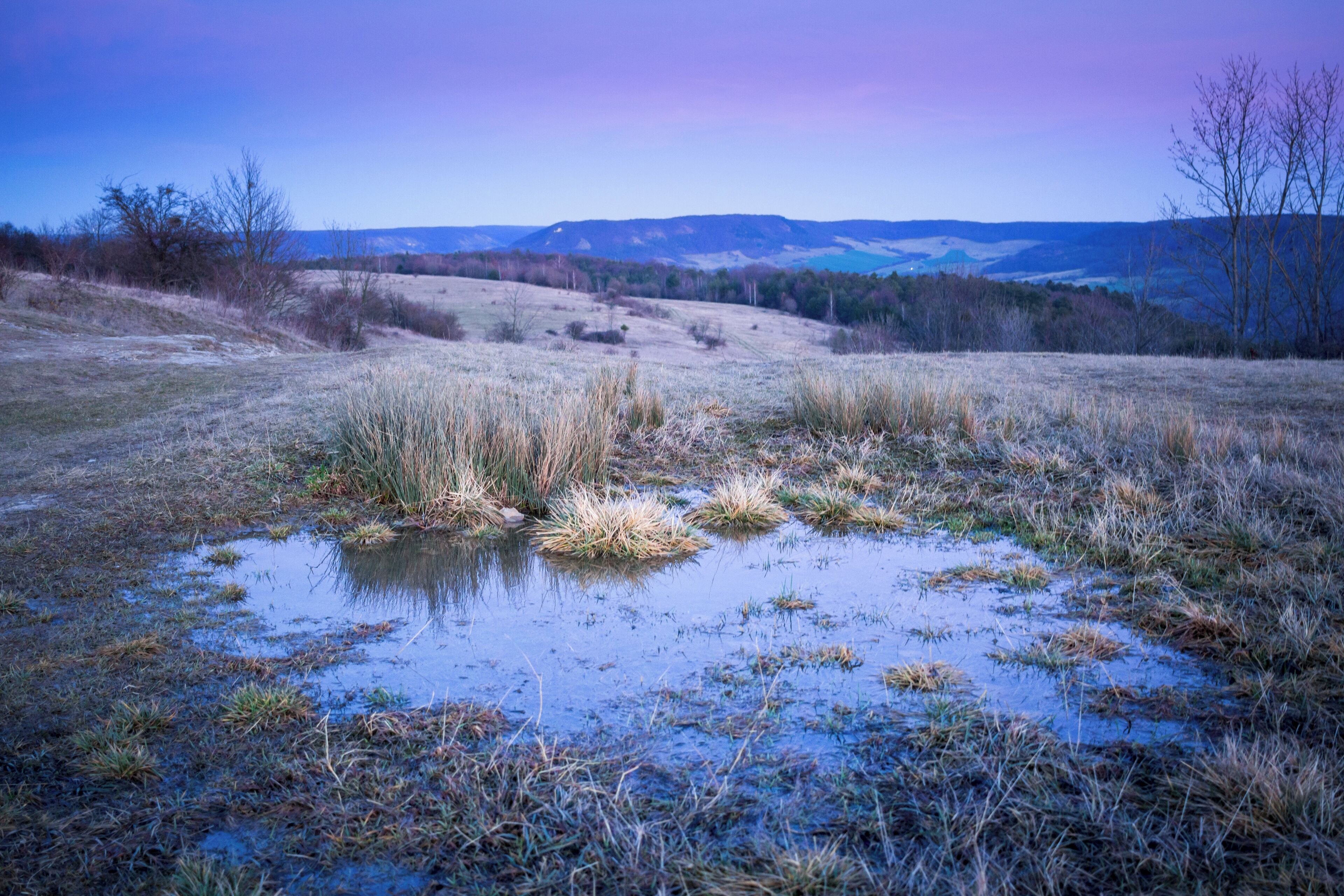A wetland with patches of grass and puddles, surrounded by hills and trees.