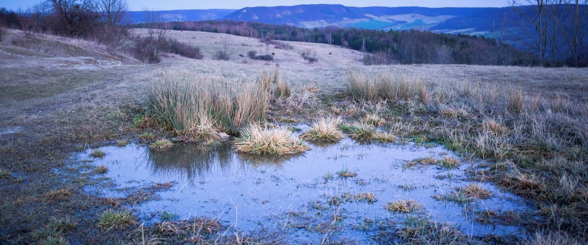 A wetland with patches of grass and puddles, surrounded by hills and trees.