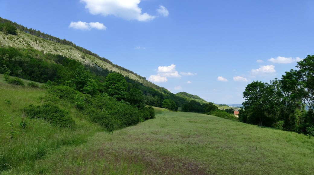 Der hier abgebildete Teil des Leutratales gehört zum Naturschutzgebiet "Leutratal und Cospoth" mit der Thüringen-Nr. 150, zum FFH-Gebiet "Leutratal - Cospoth - Schießplatz Rothenstein" (EU-Nr. 5135-301) und liegt im Landschaftsschutzgebiet "Mittleres Saaletal" mit der Thüringen-Nr. 32. Hier ist die zurückgebaute Autobahnstrecke der A 4 zu sehen, die Fahrbahn ist renaturiert worden.
