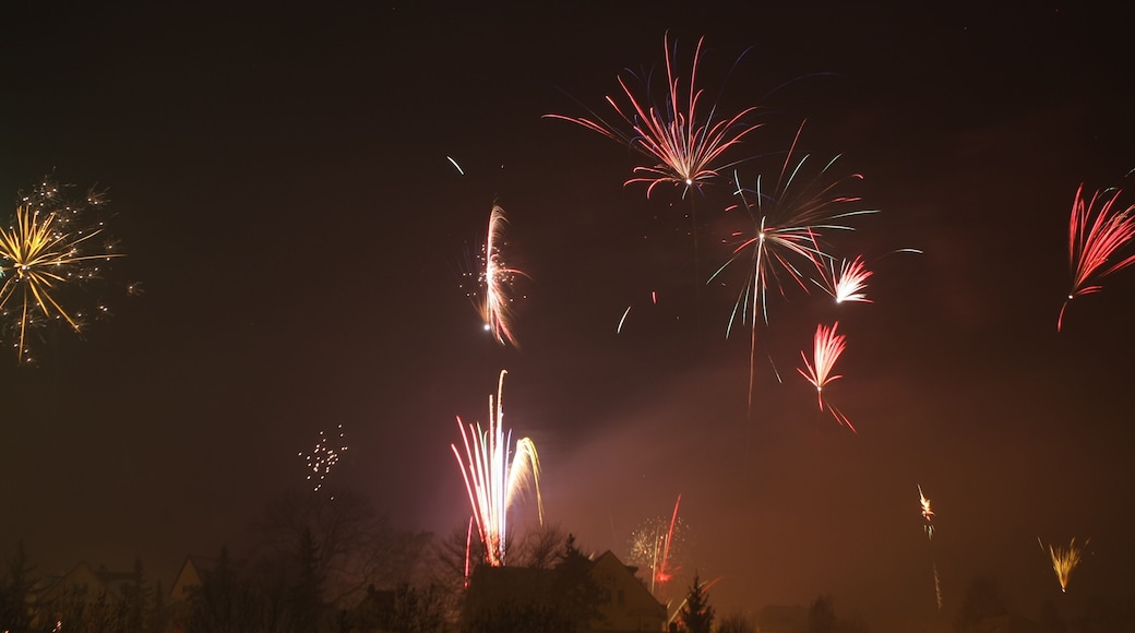 Feuerwerk ĂŒber Jena 2010
