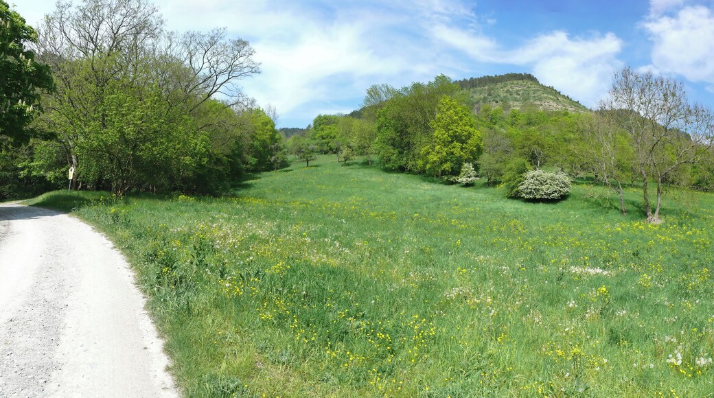 Links sieht man das Schild am Eingang zum Naturschutzgebiet "Kernberge und Wöllmisse" bei Jena.