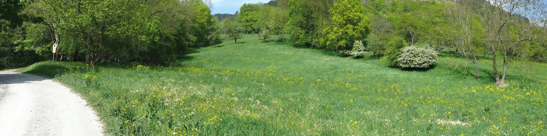 Links sieht man das Schild am Eingang zum Naturschutzgebiet "Kernberge und Wöllmisse" bei Jena.
