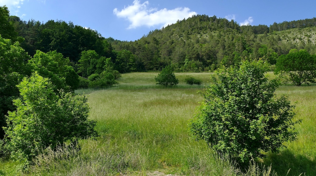 Der hier abgebildete Teil des Leutratales gehört zum Naturschutzgebiet "Leutratal und Cospoth" mit der Thüringen-Nr. 150, zum FFH-Gebiet "Leutratal - Cospoth - Schießplatz Rothenstein" (EU-Nr. 5135-301) und liegt im Landschaftsschutzgebiet "Mittleres Saaletal" mit der Thüringen-Nr. 32.