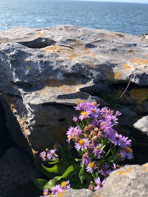 This is a ten kilometer or so drive along the west coast of Ireland. The geography is unbelievable. Rocky cliff-sides to one side, mountains and hillsides to the other. It’s also not too far from the Cliffs of Moher. #Ireland #WildAtlanticWay