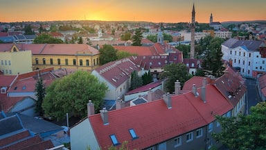 Un paisaje urbano con edificios de techos rojos, una imponente torre de iglesia y un atardecer de fondo.