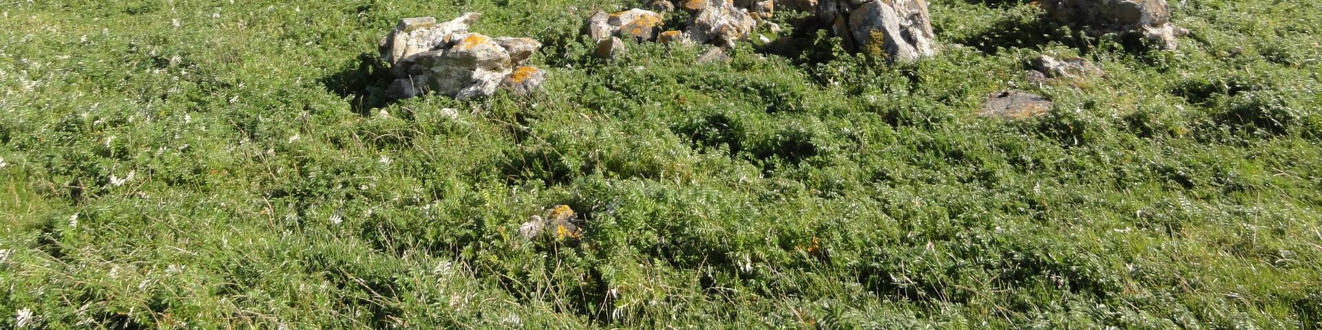 Photographs taken at North Uist.