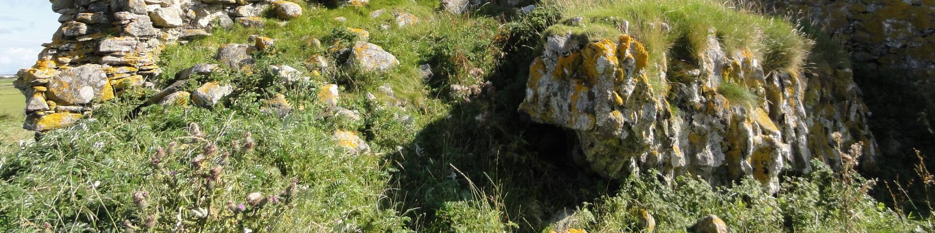 Ancient stone ruins with moss-covered walls and a grassy landscape.