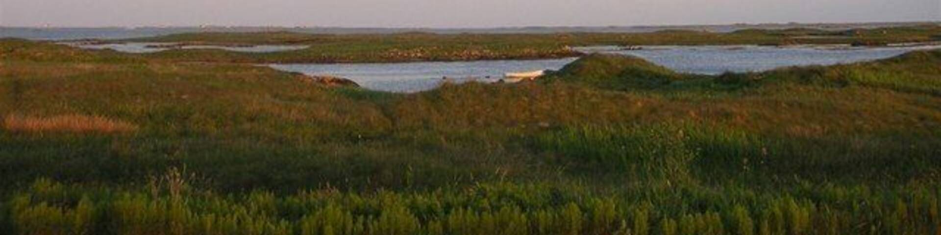 The view from Creagorry Hotel, Benbecula Looking directly out to sea from the road passing by the hotel, early one June morning. Short-eared owls quarter these salt marshes in the evening.