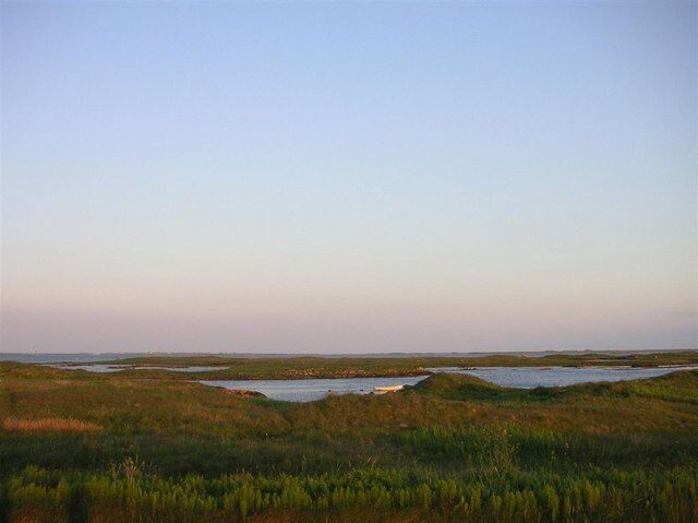 A coastal landscape with marshy areas and small bodies of water.