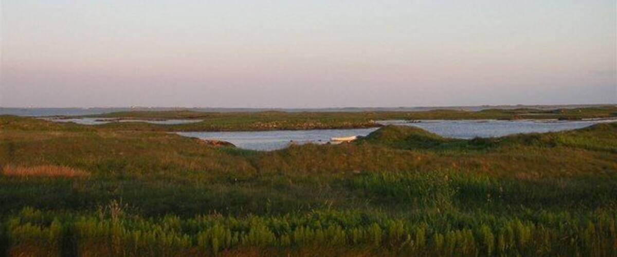 A coastal landscape with marshy areas and small bodies of water.