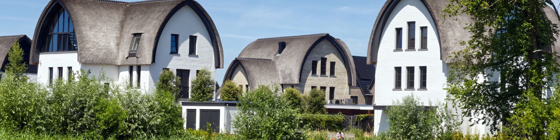 Picturesque residential area showcasing innovative housing design with traditional thatched roofs in badhoevedorp, north holland