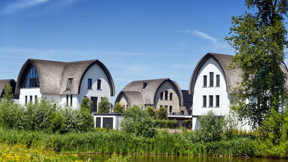 A row of white houses with thatched roofs, a pond, and lush greenery.