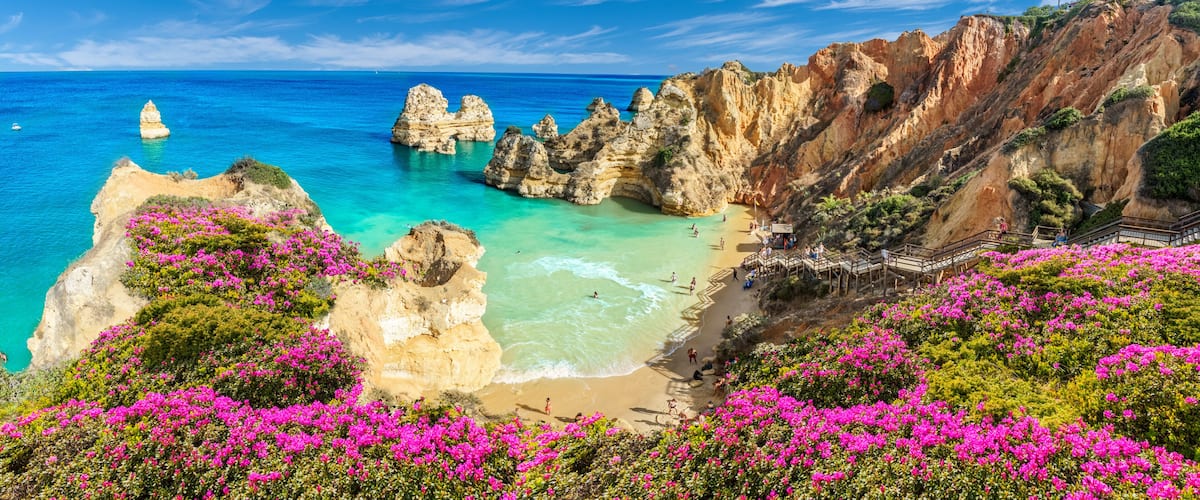 Eine Küstenlandschaft mit felsigen Klippen, einem Strand und leuchtend rosa Blumen.