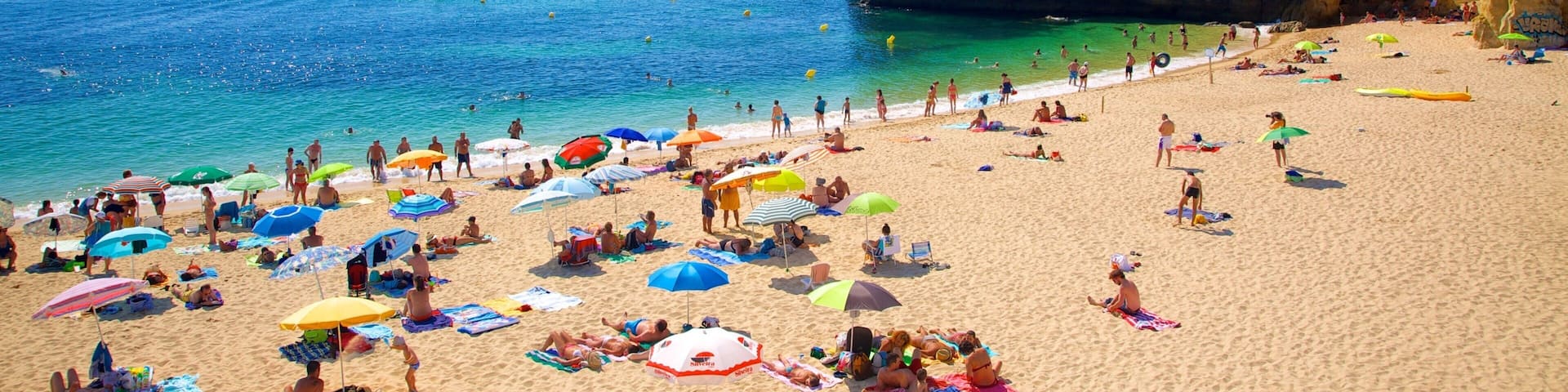 ラゴス 表示 渓谷あるいは峡谷 と ビーチ 及び 大勢の人々