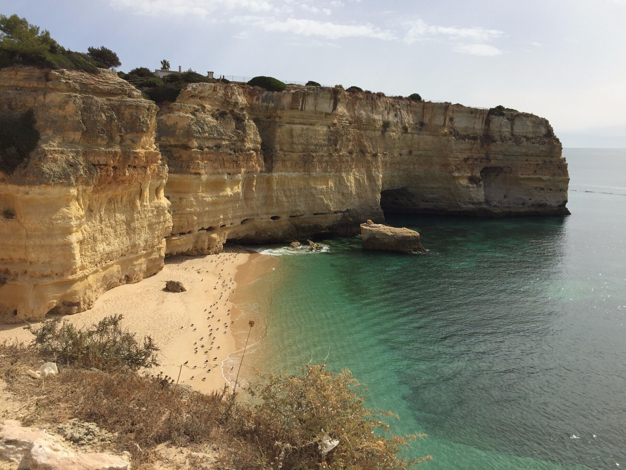 Lagos, Portugal My 2016! #lifeatexpedia #beachBound