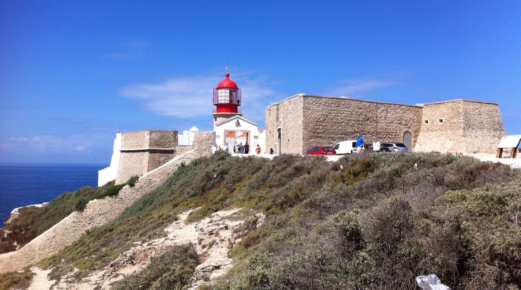 This was the last photo I took here. # Blue