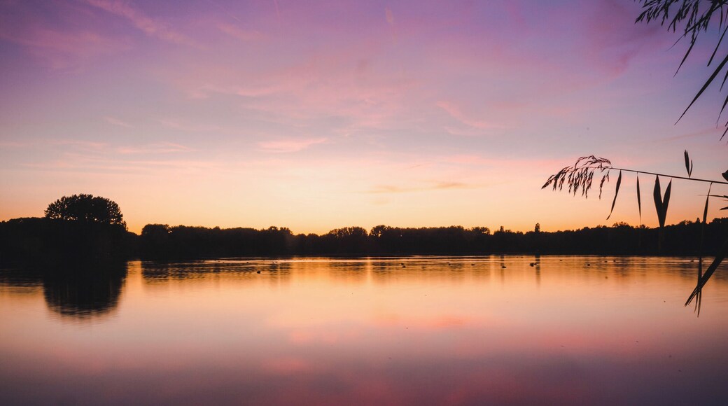 Some locations need a good sunset to reach their peak beauty. May I present you the Delftse Hout! Shot from the north side of the lake.