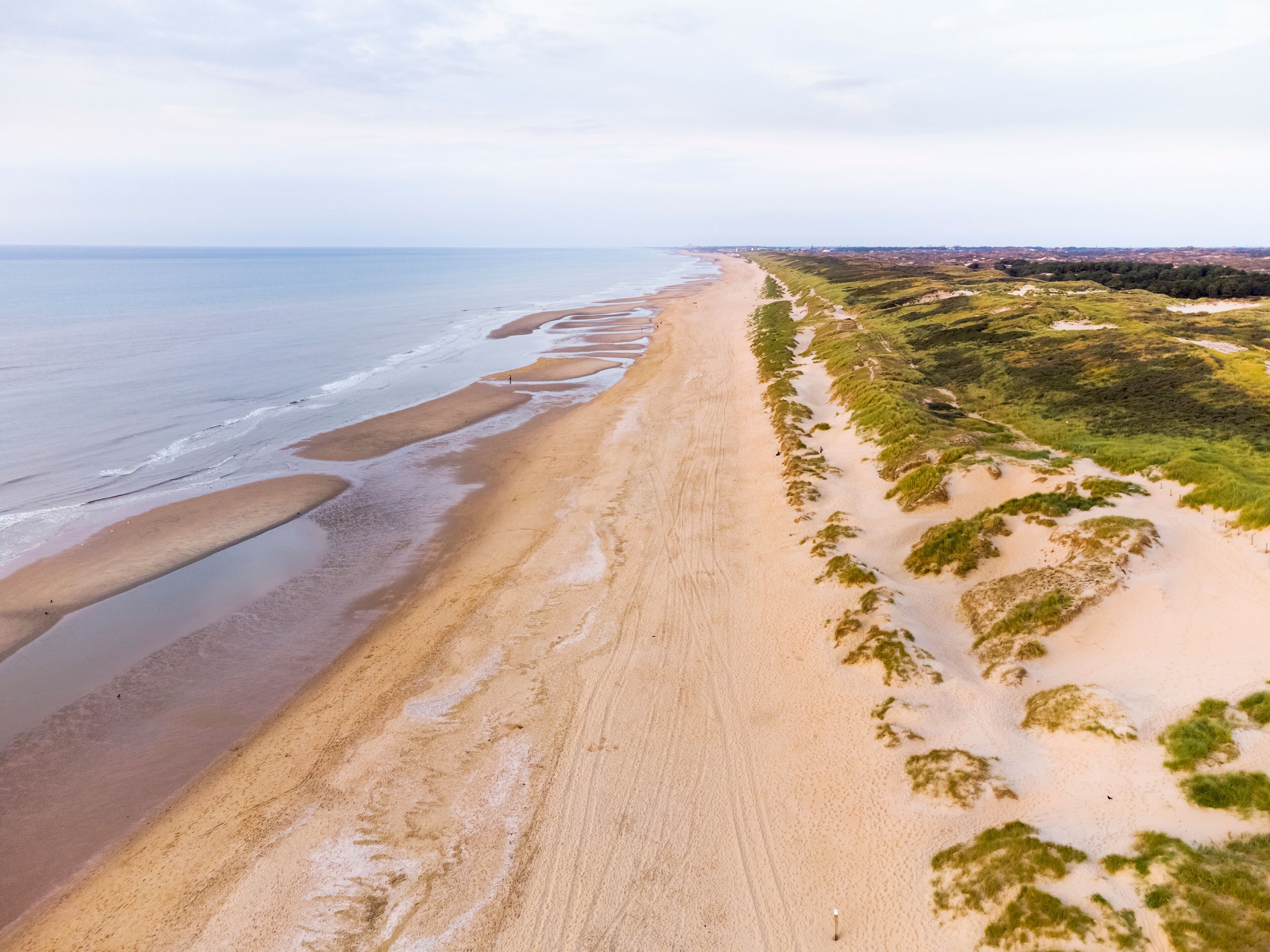 Paisaje costero con una playa arenosa, vegetación verde y una línea de costa distante.