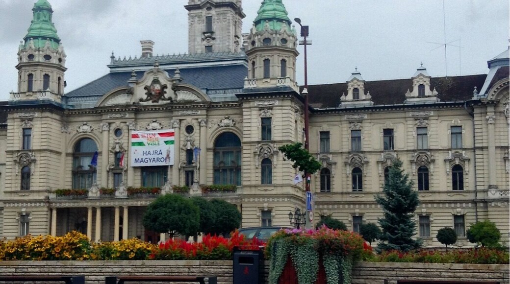Town hall in the Hungarian city of Gyor.
Constructed during the era of the Austro-Hungarian empire, this building was clearly meant to impress. And it does. If you're arriving by train it's one of the first buildings you'll see upon exiting the train station.
#Hiddengem