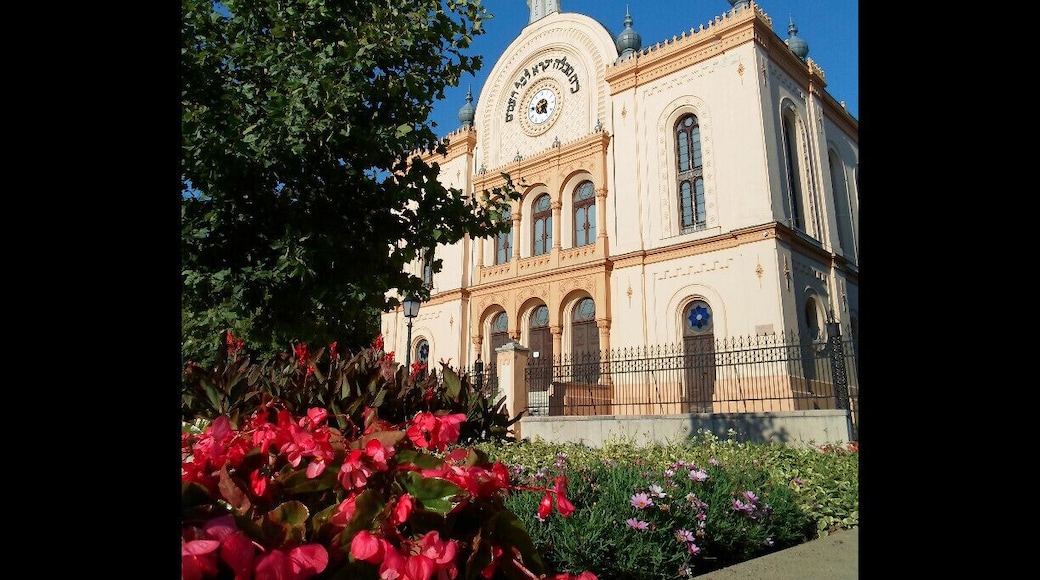 Synagogue in the city centre
Read more here!
www.endoftherainbow.net/blog/2014/3/11/pcs-pearl-of-the-mecsek