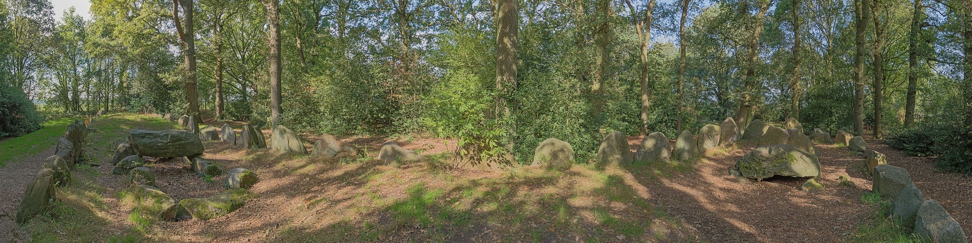 A forest with a clear path, large rocks, and tall trees.