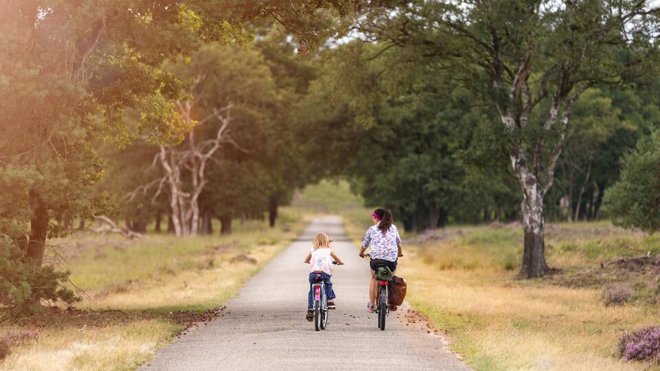 Little girl cycling with her mother in Holland